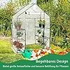 COSTWAY Gewächshaus Foliengewächshaus, Treibhaus mit 2 Pflanzenständern & aufrollbaren Tür, Tomatenhaus Tomaten, Pflanzenhaus mit PE Gitterfolie, 143x73x195cm, Weiß und transparent - Thumbnail 2