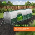 BioGreen Foliengewächshaus Tomatenhaus SUPERDOME 300 cm, winterfestes Treibhaus aus UV-beständiger PE-Folie, Schattierfolie im Dach, Frost- und Hitzeschutz, 2 Reißverschluss-Türen - Thumbnail 2