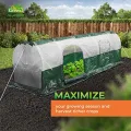 BioGreen Foliengewächshaus Tomatenhaus SUPERDOME 300 cm, winterfestes Treibhaus aus UV-beständiger PE-Folie, Schattierfolie im Dach, Frost- und Hitzeschutz, 2 Reißverschluss-Türen - Thumbnail 10