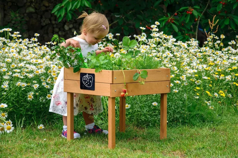 dobar® 58510FSC Kinderhochbeet mit Kreidetafel | Mini Hochbeet Holz | erhöhter Pflanzkasten für Kinder | Salatbeet auf Stelzen | Kleines Kräuterbeet Garten/Terrasse/Balkon | 50 x 40 x 45 cm | Braun – Bild 4