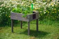 dobar® 58511FSC Kinderhochbeet mit Kreidetafel | Mini Hochbeet Holz | erhöhter Pflanzkasten für Kinder | Salatbeet auf Stelzen | Kleines Kräuterbeet für Garten/Terrasse/Balkon | 50 x 40 x 45 cm | Grau - Thumbnail 4