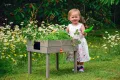 dobar® 58511FSC Kinderhochbeet mit Kreidetafel | Mini Hochbeet Holz | erhöhter Pflanzkasten für Kinder | Salatbeet auf Stelzen | Kleines Kräuterbeet für Garten/Terrasse/Balkon | 50 x 40 x 45 cm | Grau - Thumbnail 5