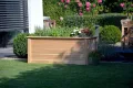 dobar® Hochbeet Douglasie Größe XL aus Massivholz inlkusive Pflanzfolie - XL Salatbeet für Garten/Terrasse/Balkon als Bausatz - 150 x 60 x 65 cm - Natur - Thumbnail 7