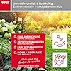 NOOR Ersatzfolie für Tomaten-Gewächshaus Premium - UV-stabilisierte Gartenbaufolie 135 g/m² - ca. 200x75x175 cm - Thumbnail 2