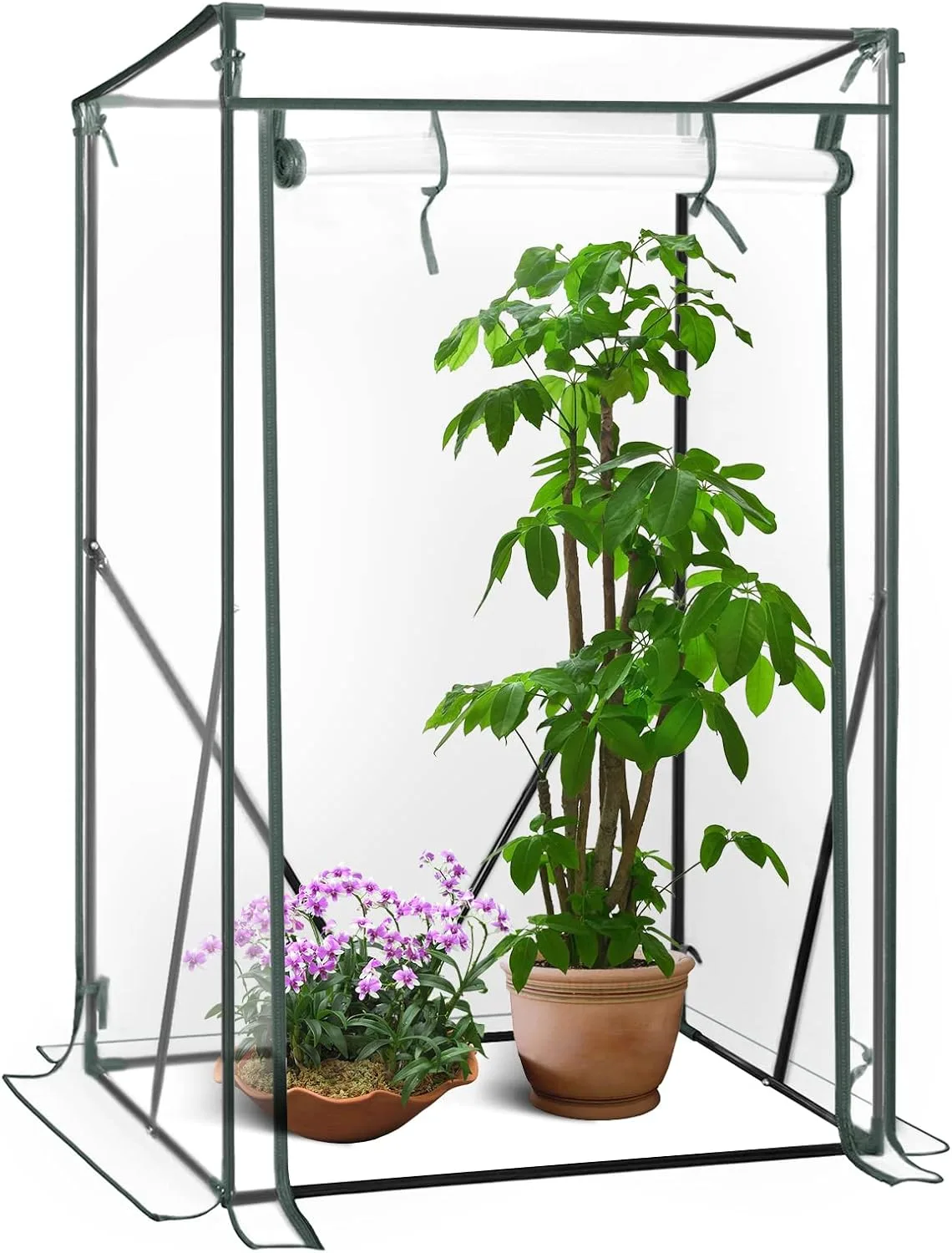WOLTU Foliengewächshaus Tomatengewächshaus, PE-reissfeste, wasserdichte Plane mit Rolltor, für Garten, Terrasse, Hinterhof, 100x50x150/136cm, transparent - Bild 1