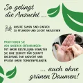 Prademir – Tomatensamen Set aus 16 seltenen & alten Sorten – Tomaten Anzuchtset mit 100% Natursamen handverlesen aus Portugal – Tomatensaat mit hoher Keimrate für Garten, Balkon, Terrasse, Gewächshaus - Thumbnail 6