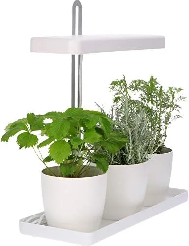 Design Kräutergarten mit höhenverstellbarem Pflanzenlicht 20W als Anzuchtschale oder Kräuterbeet – Bild 2