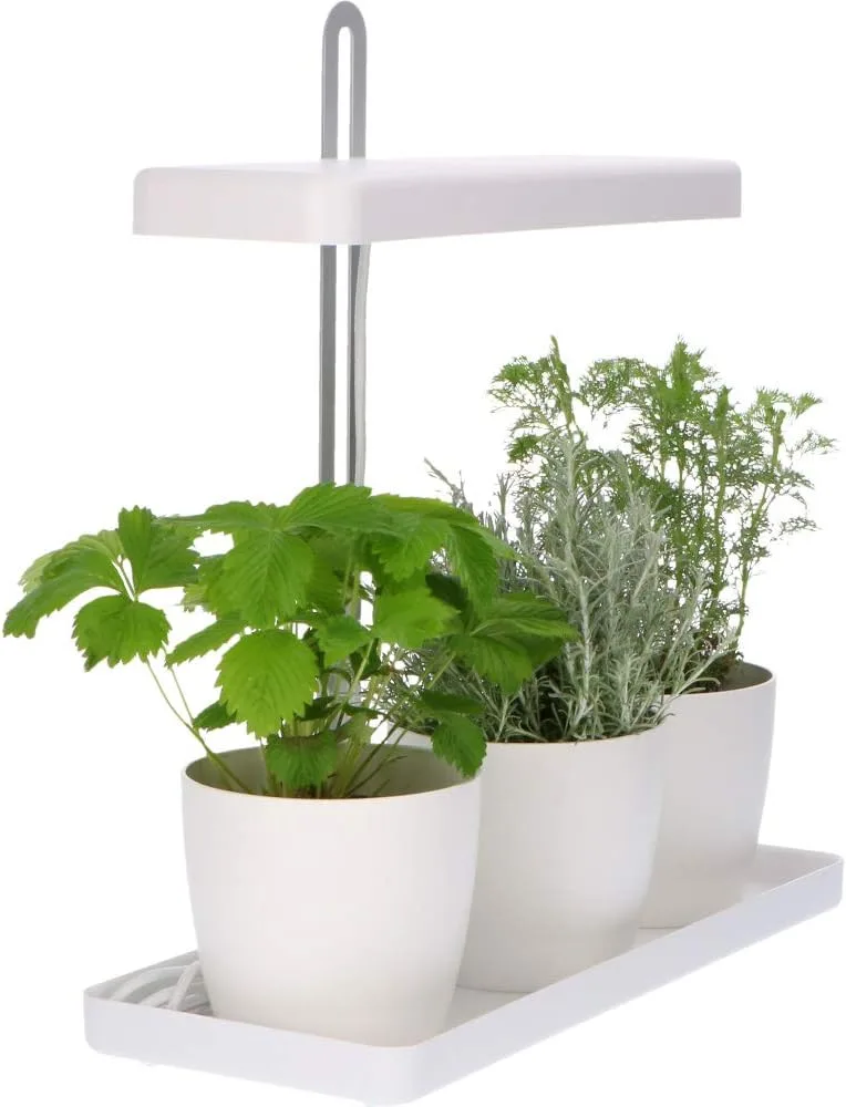 Design Kräutergarten mit höhenverstellbarem Pflanzenlicht 20W als Anzuchtschale oder Kräuterbeet – Bild 5