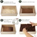 Saatgut Anzuchtset mit Holzkiste und 8 Sorten Pflanzen Samen: Kinder Anzuchtset Pflanzen mit Gemüse, Erdbeeren und Kräuter Samen – Mini Gewächshaus und Mini Garten Starter Kit von OwnGrown - Thumbnail 6