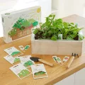 Saatgut Anzuchtset mit Holzkiste und 8 Sorten Pflanzen Samen: Kinder Anzuchtset Pflanzen mit Gemüse, Erdbeeren und Kräuter Samen – Mini Gewächshaus und Mini Garten Starter Kit von OwnGrown - Thumbnail 7