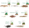 Saatgut Anzuchtset mit Holzkiste und 8 Sorten Pflanzen Samen: Kinder Anzuchtset Pflanzen mit Gemüse, Erdbeeren und Kräuter Samen – Mini Gewächshaus und Mini Garten Starter Kit von OwnGrown - Thumbnail 2