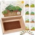 Saatgut Anzuchtset mit Holzkiste und 8 Sorten Pflanzen Samen: Kinder Anzuchtset Pflanzen mit Gemüse, Erdbeeren und Kräuter Samen – Mini Gewächshaus und Mini Garten Starter Kit von OwnGrown - Thumbnail 1