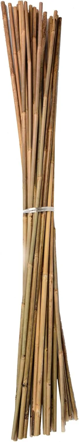 UNUS Bambusstäbe, Pflanzenstäbe zur Stabilisierung von Pflanzen im Garten, Rankstäbe Bambus 120 cm naturfarbend, 25 Stück – Bild 6