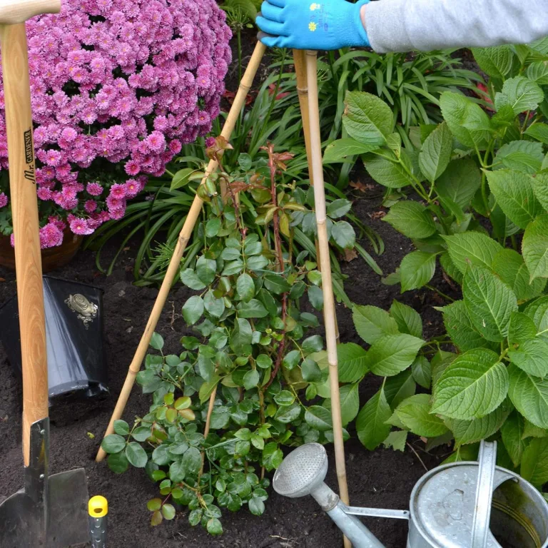 UNUS Bambusstäbe, Pflanzenstäbe zur Stabilisierung von Pflanzen im Garten, Rankstäbe Bambus 120 cm naturfarbend, 25 Stück – Bild 9