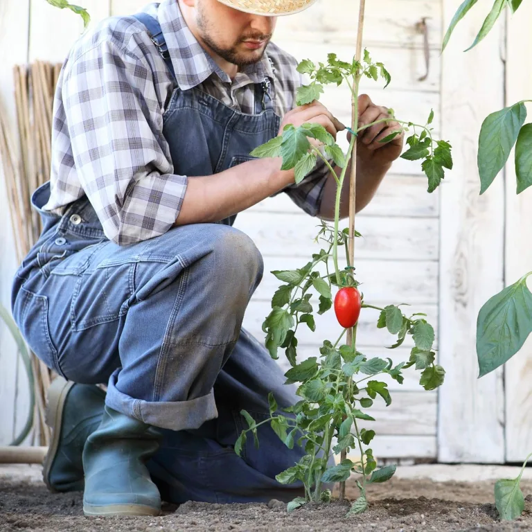 UNUS Bambusstäbe, Pflanzenstäbe zur Stabilisierung von Pflanzen im Garten, Rankstäbe Bambus 120 cm naturfarbend, 25 Stück – Bild 10
