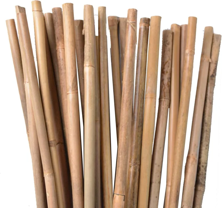 UNUS Bambusstäbe, Pflanzenstäbe zur Stabilisierung von Pflanzen im Garten, Rankstäbe Bambus 120 cm naturfarbend, 25 Stück – Bild 1