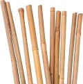 UNUS Bambusstäbe, Pflanzenstäbe zur Stabilisierung von Pflanzen im Garten, Rankstäbe Bambus 120 cm naturfarbend, 25 Stück - Thumbnail 11