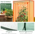 Sekey Tomatengewächshaus 150x100x50 cm, Kleines Gewächshaus, Robustes Foliengewächshaus Tomaten Gewächshaus für Balkon - Stabil, Winterfest & Einfach zu montieren, Grün - Thumbnail 4