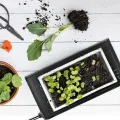 RIOGOO Heizmatte Wärmematte für Sämling Germination und Haustier,Wasserkultur-Samen-Reptil-Betriebsheizungs-Auflage mit Abschaltschutz sicher und haltbar 24 * 52cm CER bestätigt(2 Stück) - Thumbnail 6