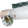 Bio Green Energiesparschlauch für Elektro-Gewächshausheizung Phoenix und Gewächshaus-Ventilator Arizona | 300 cm | inklusive Befestigungsmaterial - Thumbnail 8