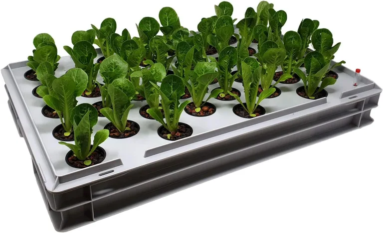 GREEN24 Aqua 36-A Pro Hydroponic Anzucht-System XL 40 x 60 cm Hydrokultur Indoor Pflanzen-Aufzucht für Nutzpflanzen, Gemüse, Kräuter, Salate, Zierpflanzen in Tiefwasserkultur – Bild 1