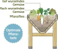 VegTrug® Hochbeet Classic - platzsparender Pflanzkasten für Balkon & Terrasse 420 L Volumen inkl. Pflanzvlies - Frühbeet ergonomische V-Form für Gemüse Kräuter Blumen - Natur 183x76x80 cm - Thumbnail 7