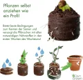 Kokos Quelltabletten mit Nährstoffen: 125 Premium Quelltabs aus Anzuchterde torffrei, ohne Pikieren – Kokoserde gepresst zur Pflanzen Anzucht, Erde, für Stecklinge – OwnGrown - Thumbnail 2