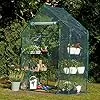 Bramble - Premium Garten Gewächshaus Foliengewächshaus mit Bodenhaken, 6 Etagen & Robuster Plane - Wetterfest, Stabil & Einfach zu Montieren - 195x143x73cm – Bild 2