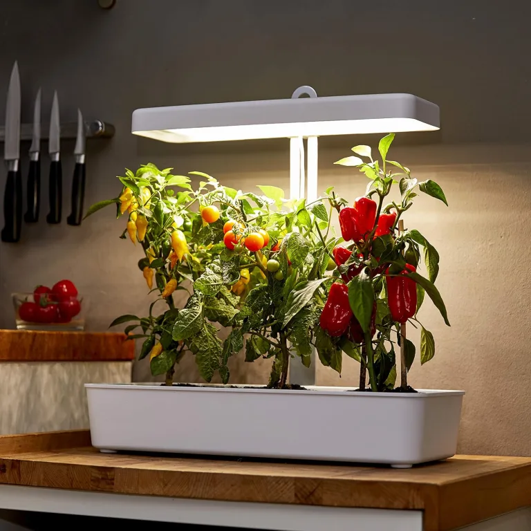 Northpoint Hydroponisches LED Anzuchtsystem Pflanzenlampe Pflanzenleuchte Kräutergarten Innengarten Gewächslampe 22W 1350 Lumen 10 Setzlinge Höhenverstellbar Timer – Bild 5