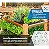WESTMANN Premium Hochbeet aus Lärchenholz | Natur | 66x91x73 cm | Kräuterbeet für den Außenbereich | Holzhochbeet zum Bepflanzen von Gemüse & Kräutern – Bild 2