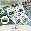 SaatPur® Keimsprossenbox Set 4 mit Vier Etagen als Sprossen Keimgerät: Sprossen Anzucht sowie Microgreens Anzuchtschalen. Keimbox, Keimschale, Keimschachtel, Sprossenbox, Sprossenhaus, Keimgerät - Thumbnail 2