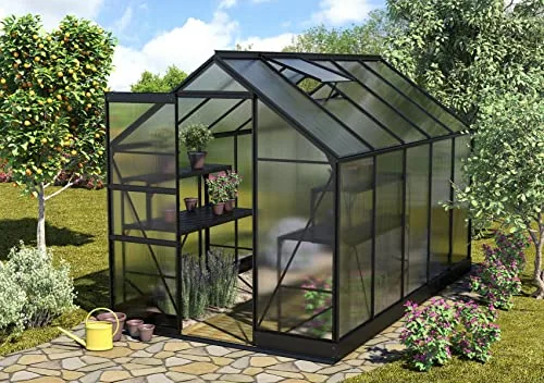 Vitavia Gewächshaus Apollo 6200, HKP 6mm, schwarz – Bild 5