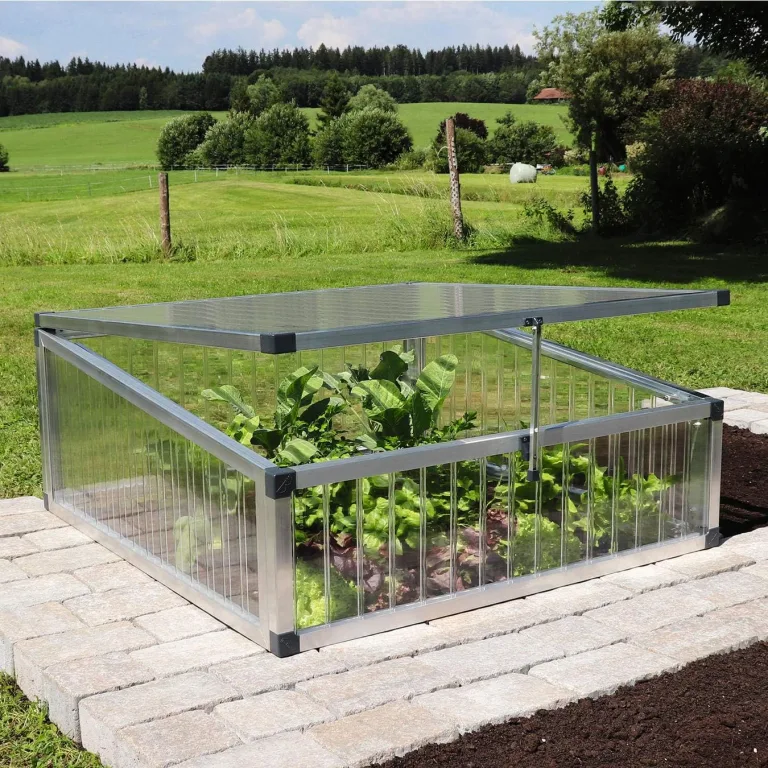 Beckmann FTHA Frühbeet Typ Allgäu Modell FTH mit 16 mm Alltop PLEXIGLAS – Bild 4