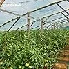HaGa Gitterfolie 2m x 5m in transparent – Extrastarke Folie für Gewächshaus klein & groß – als Gewächshausfolie & Winterschutz - Thumbnail 2