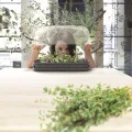 Prosperplast Respana Table Greenhouse Zimmergewächshaus Anzuchtschale Tisch-Frühbeet (Anthrazit) - Thumbnail 2