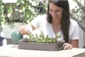 Prosperplast Respana Table Greenhouse Zimmergewächshaus Anzuchtschale Tisch-Frühbeet (Anthrazit) - Thumbnail 4
