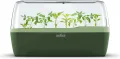 Romberg BoQube 16294177 Gewächshaus M anthrazit-grün (Zimmergewächshäuser) - Thumbnail 10