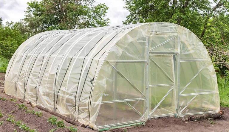 Aquagart 6m reißfeste UV 5 Gewächshausfolie transparent I Frühbeet Abdeckung Gartenfolie Gewächshaus I PE Gewächshausplane I Treibhausfolie Breite 4 m I Folien-Stärke 190 Mircron 0,19 mm – Bild 7