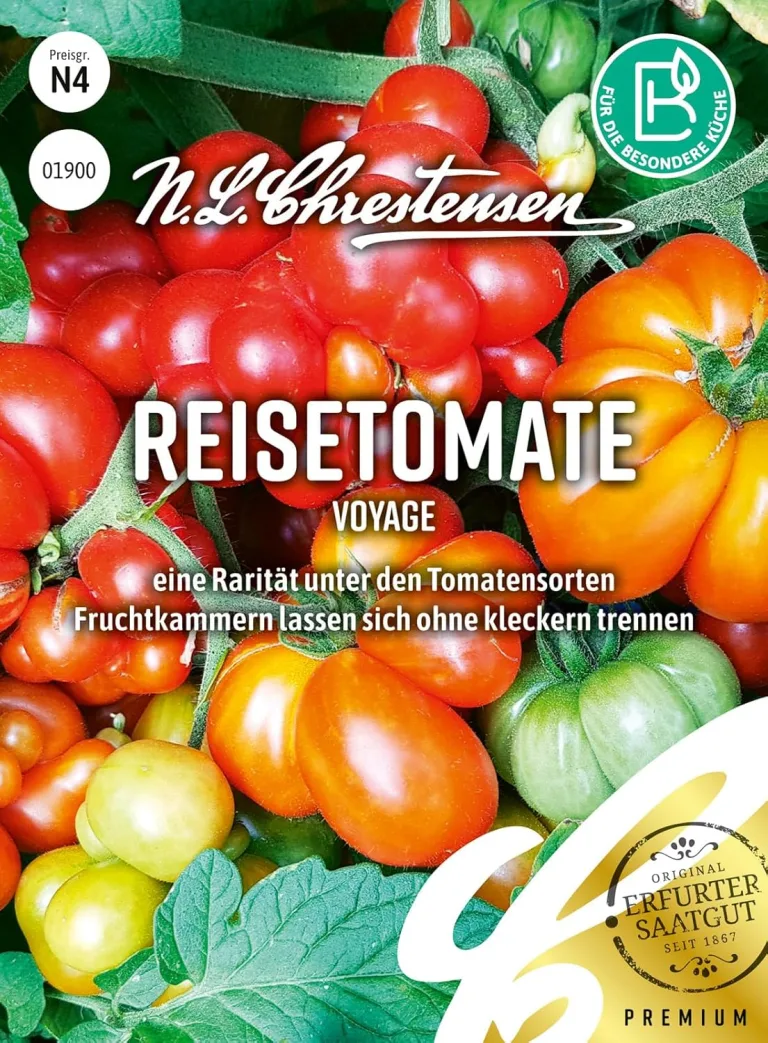 Chrestensen Longlife-Tomate Cindel F1 Samen - Resistent Früh 130g - Freiland Gewächshaus - Lange Haltbar Lagerfähig - Lycopersicon Saatgut - TMV Fusarium Verticillium - Robuste Freilandtomate Salat – Bild 4