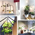 wolezek Pflanzenlampe LED, Pflanzenlicht, 80 LEDs Pflanzenleuchte 3000K 5000K 660nm Wachsen licht Vollspektrum für Zimmerpflanzen mit Zeitschaltuhr, 5 Arten von Helligkeit & 3 Lichter Modi für Gemüse - Thumbnail 7