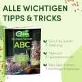 [Das Original Sprossenglas 2er Set + KRESSESIEB + 3 x Saatgut-Set mit hochwertigem Edelstahl-Gitterdeckel, Ständer, Keramikschale + Sprossen-ABC [Druckversion] Keimglas Anzuchtset - Thumbnail 3
