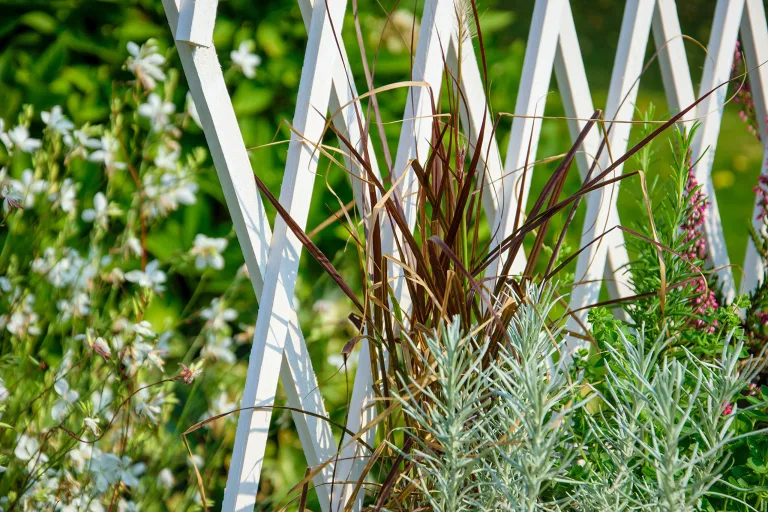 dobar® 58186e rollbares Hochbeet mit Rankgitter | Pflanzkasten auf Rollen | Blumenbeet aus Massiv-Holz | Schmales Kräuterbeet für Garten/Terrasse/Balkon | 79 x 28,5 x 130 cm | Weiß – Bild 10