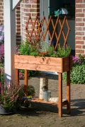 dobar® 58187e rollbares Hochbeet mit Rankgitter | Pflanzkasten auf Rollen | Blumenbeet aus Massiv-Holz | Schmales Kräuterbeet für Garten/Terrasse/Balkon | 79 x 28,5 x 130 cm | Braun - Thumbnail 7