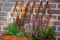 dobar® 58187e rollbares Hochbeet mit Rankgitter | Pflanzkasten auf Rollen | Blumenbeet aus Massiv-Holz | Schmales Kräuterbeet für Garten/Terrasse/Balkon | 79 x 28,5 x 130 cm | Braun - Thumbnail 10