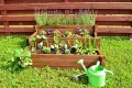 Stufenhochbeet aus Holz, Hochbeet mit unterschiedlichen Pflanzbereichen, Gartenbeet für Gemüse, Kräuter und Blumen - Thumbnail 3