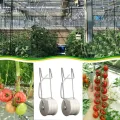 LOVIVER Tomaten Rankhilfe Schnur Spule 2pcs 15m Pflanzenbefestigung Rankspule für Gemüese und Melonen im Gewächshaus - Thumbnail 9
