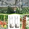 LOVIVER Tomaten Rankhilfe Schnur Spule 2pcs 15m Pflanzenbefestigung Rankspule für Gemüese und Melonen im Gewächshaus - Thumbnail 3