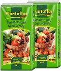 Plantaflor Plus Tomatenerde Gemüseerde Gewächshaus Erde 80 Liter (2X 40 Liter) - Thumbnail 1