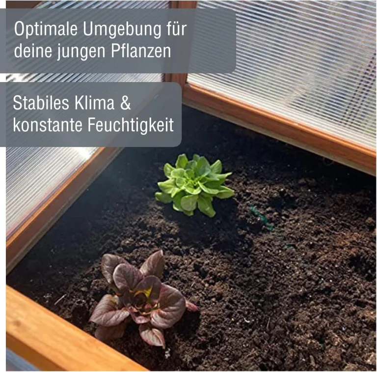 zooprinz Frühbeet HERBA – Pflanzbeet für Terrasse / Garten und Balkon – Gewächshaus – Anzuchtbeet mit Abdeckung aus Holz & Polycarbonat – idealer Schutz für Kräuter und Co. – Bild 7