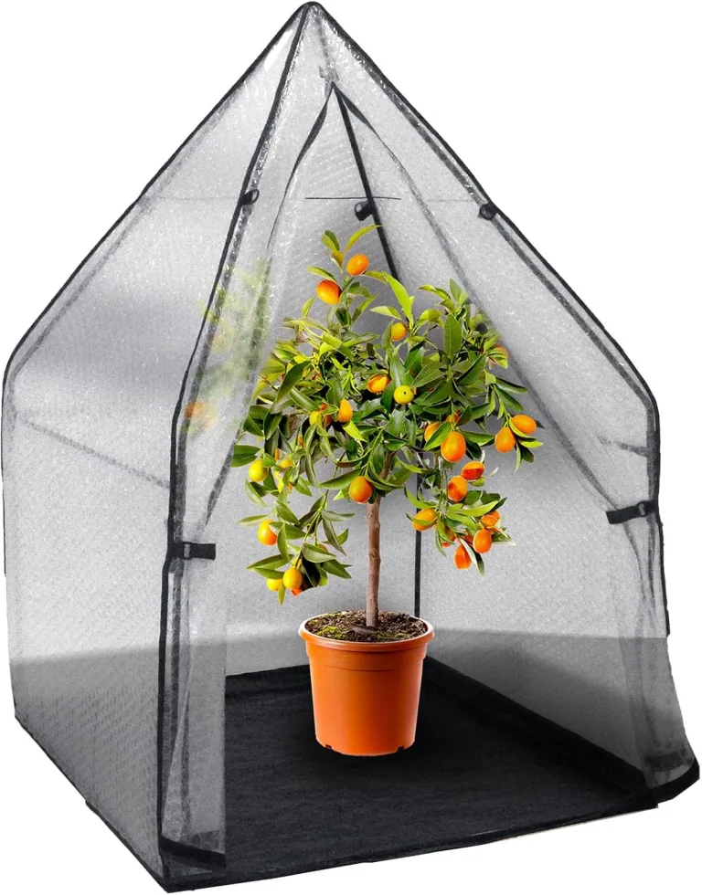 Noor Überwinterungszelt IGLU für Kübelpflanzen - wetterfestes UV-beständiges Winterschutzzelt - Robustes frostsicheres Foliengewächshaus mit 3-lagiger Luftpolsterfolie - Modell XL 180x180x220 cm – Bild 7